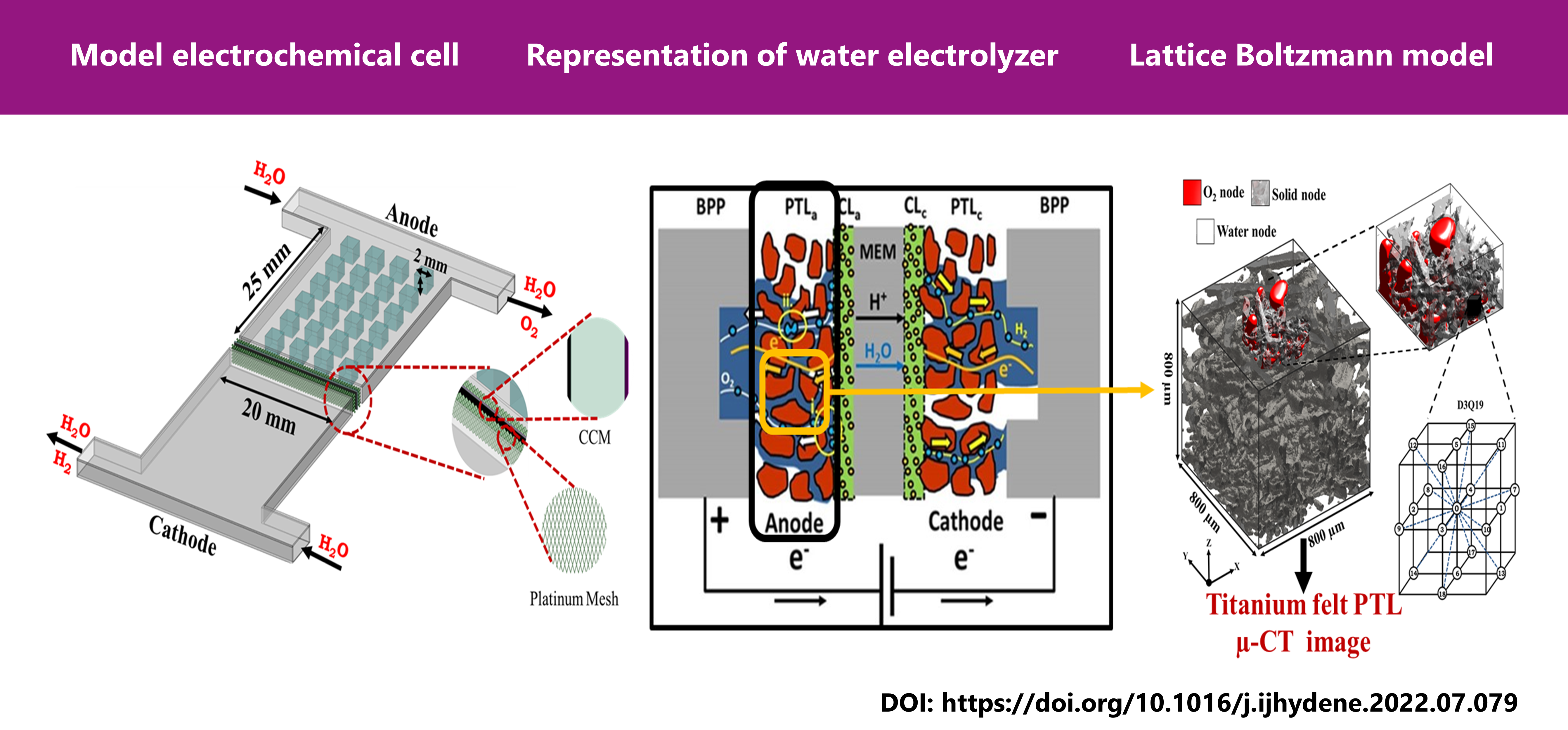 Lattice boltzmann simulation of water electrolyzers