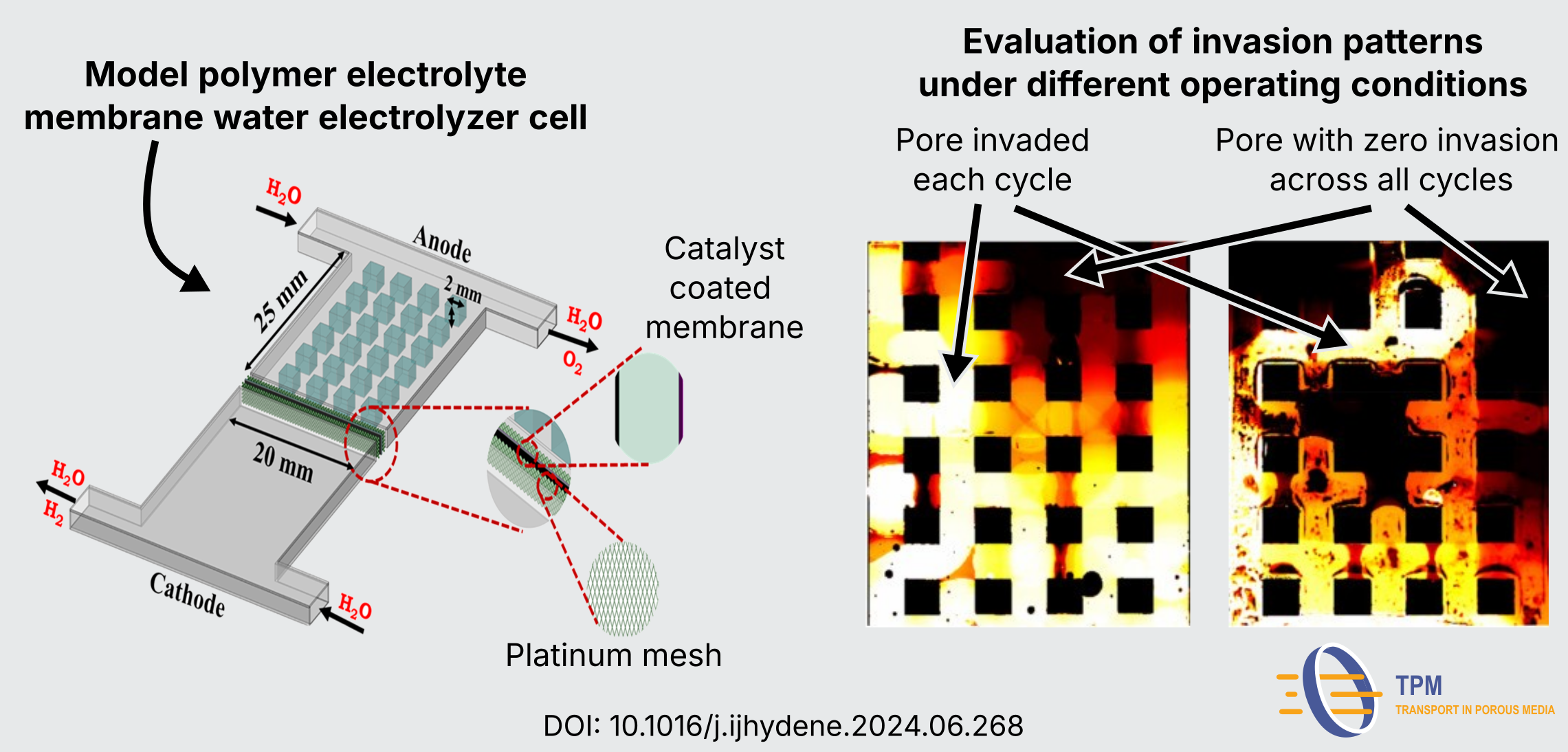 Banner_Paper_2024_Electrolyzer_Cell_Invasion
